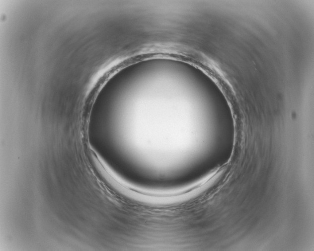 X0000087611312200705112343