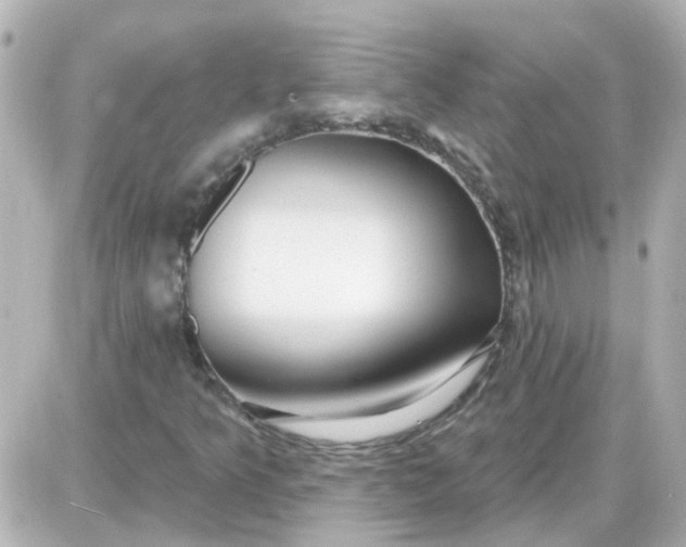 X0000087611349200705112343