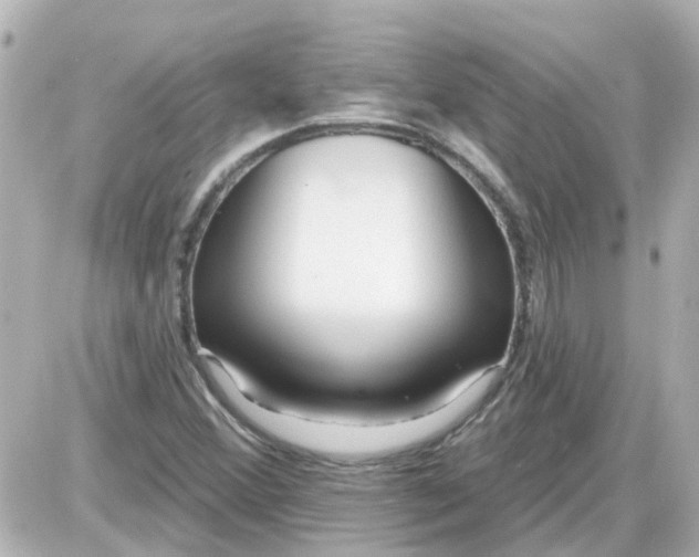 X0000087611356200705112343