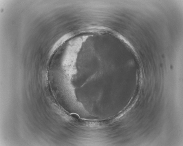 X0000087611362200705112343