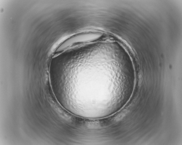 X0000087611363200705112343