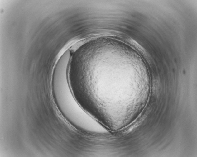 X0000087611378200705112342
