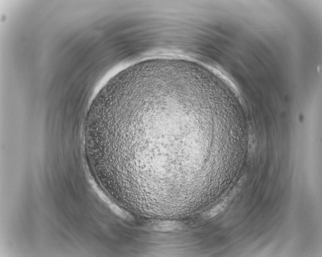 X0000087611382200705112342