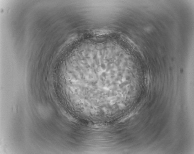 X0000087611393200705112341