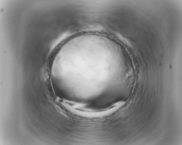X0000087611400200705112341