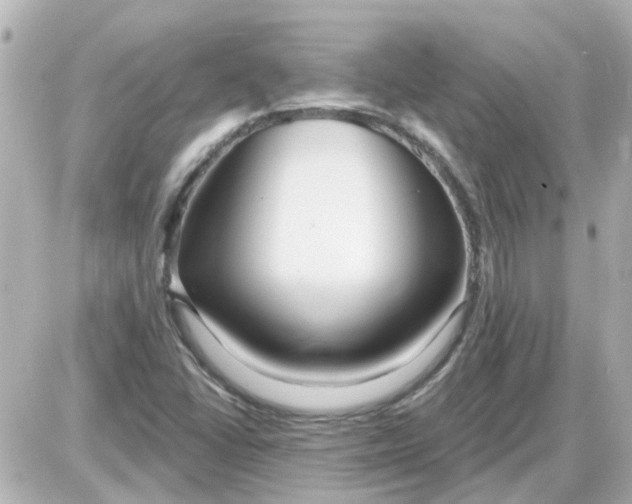 X0000087611406200705112342
