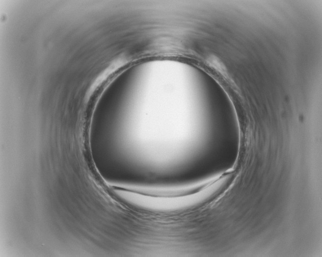 X0000087611410200705112342