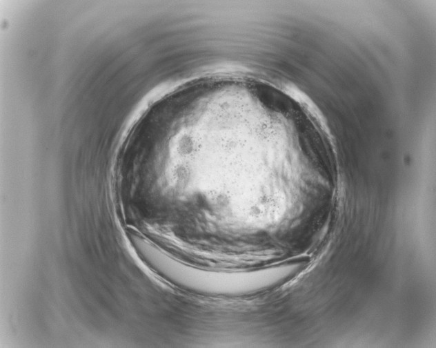 X0000087611429200705112342