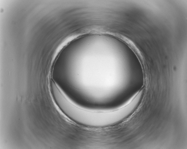 X0000087611432200705112342