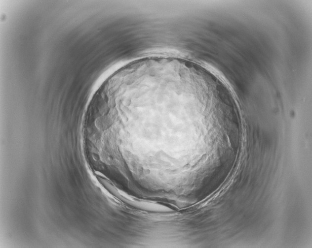 X0000087611440200705112342