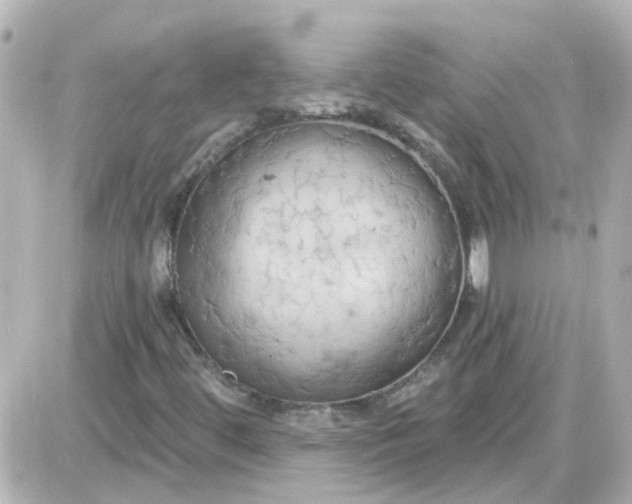 X0000087611444200705112341