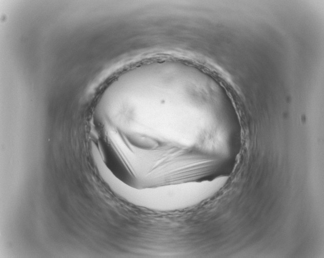 X0000087611496200705112340