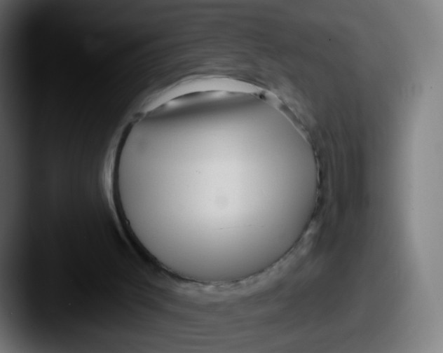 X0000087610003200705181303