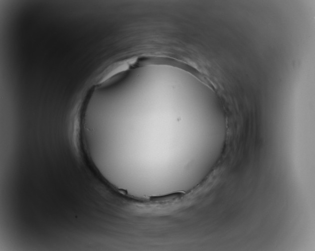 X0000087610005200705181303