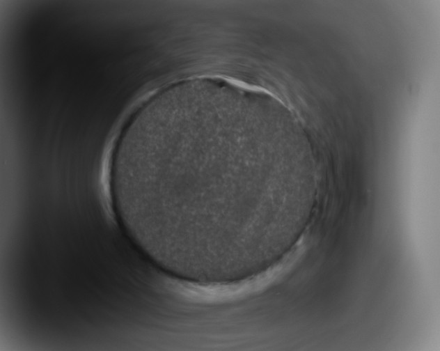 X0000087610006200705181303