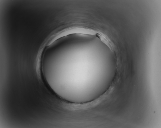 X0000087610007200705181303