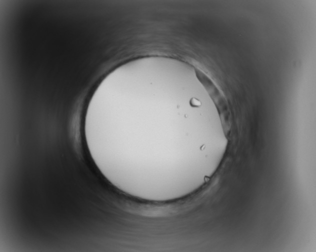 X0000087610008200705181303