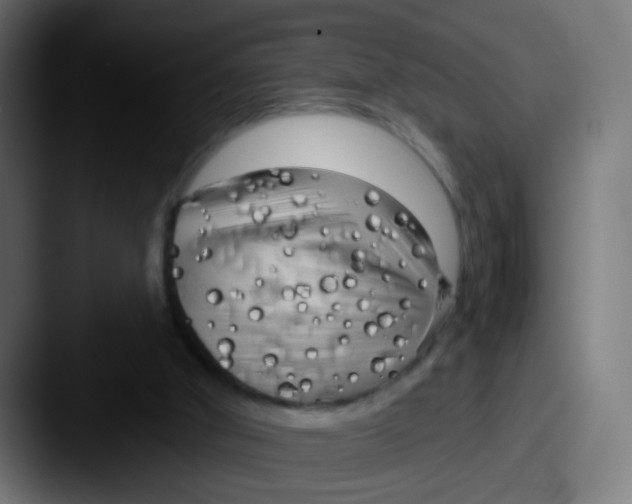 X0000087610010200705181303