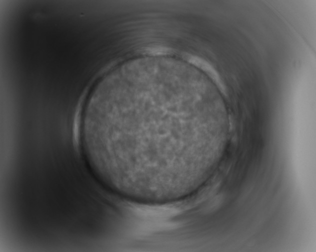 X0000087610012200705181303