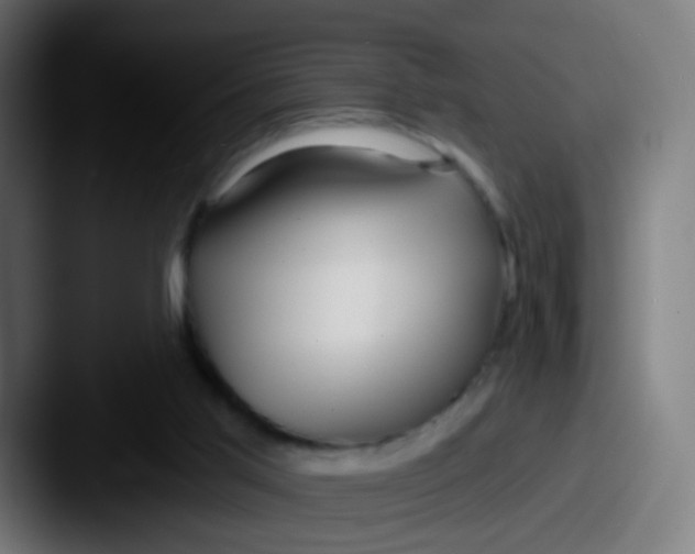 X0000087610013200705181303