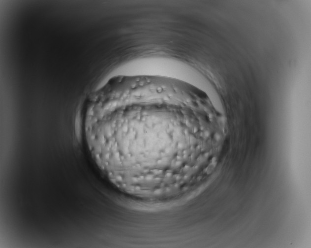 X0000087610014200705181303