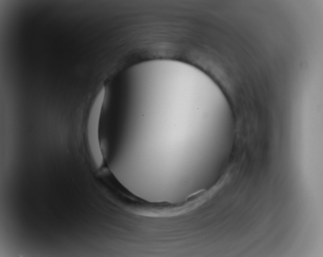 X0000087610017200705181303