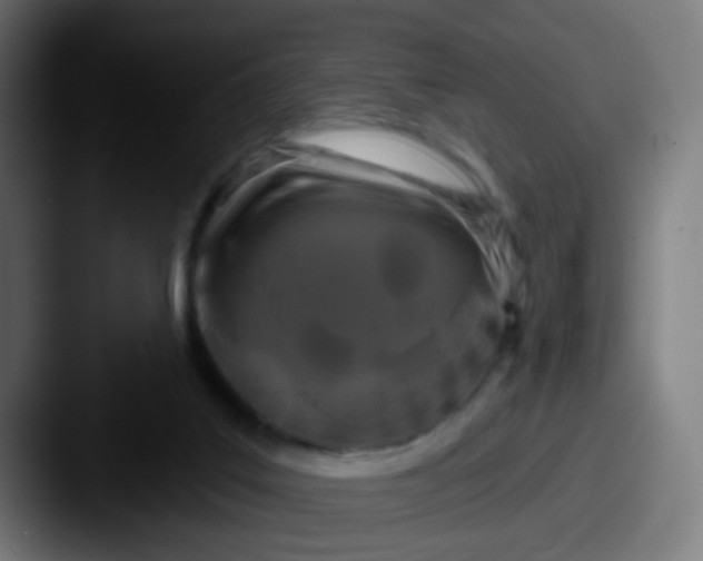 X0000087610019200705181303