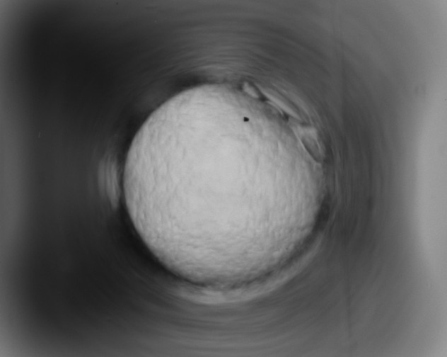 X0000087610022200705181303