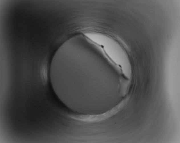 X0000087610023200705181303