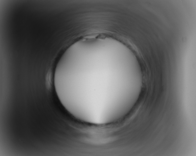 X0000087610024200705181303