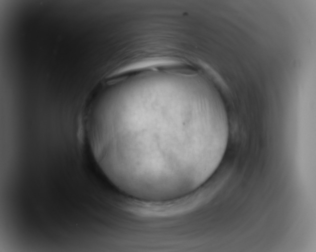 X0000087610026200705181303