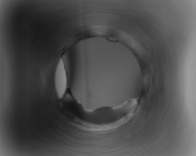 X0000087610027200705181303