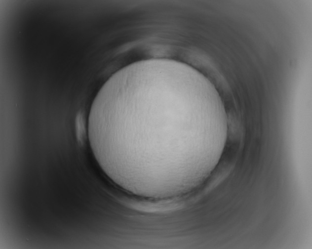 X0000087610028200705181303