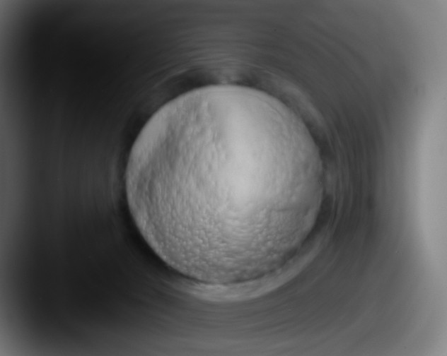 X0000087610030200705181303