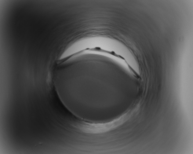 X0000087610031200705181303