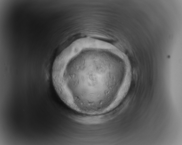 X0000087610032200705181303