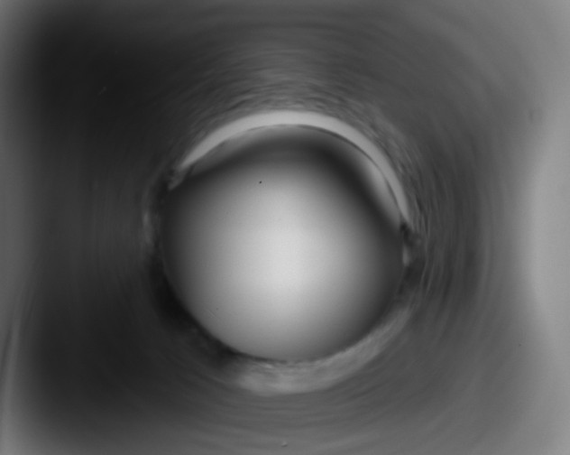 X0000087610033200705181303