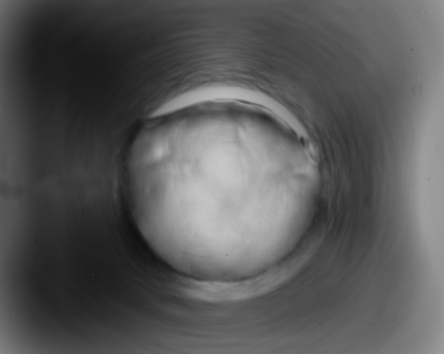 X0000087610034200705181303