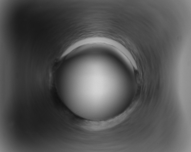 X0000087610037200705181303