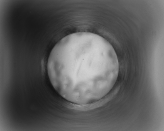 X0000087610038200705181303