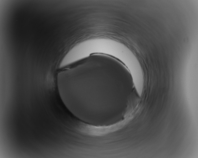 X0000087610039200705181303