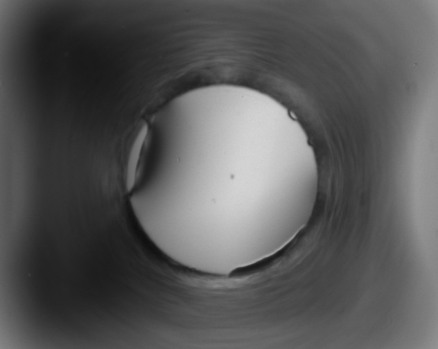 X0000087610040200705181303