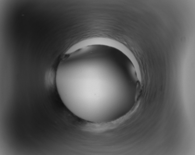 X0000087610041200705181303