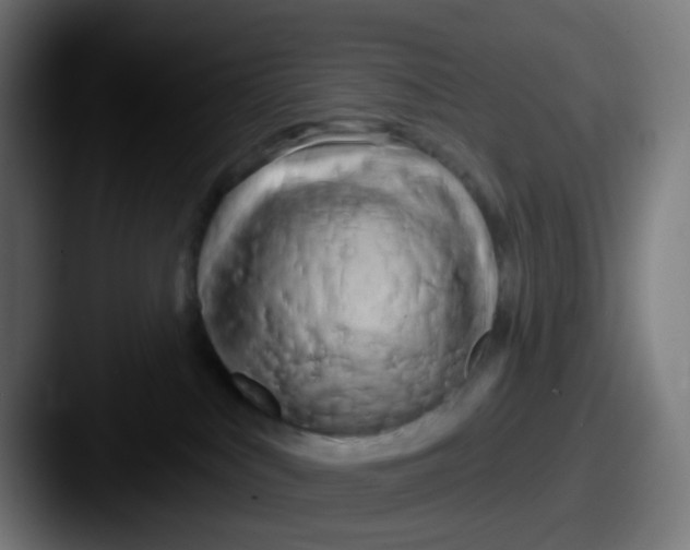 X0000087610043200705181303