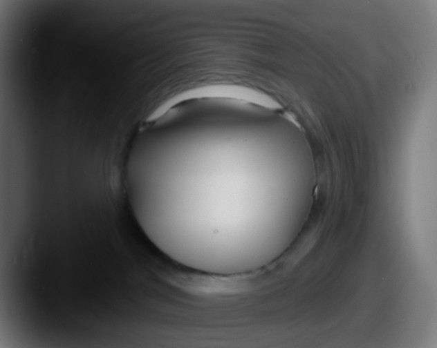 X0000087610044200705181303