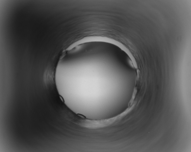 X0000087610045200705181303