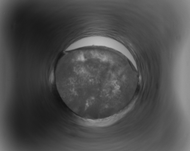 X0000087610046200705181303