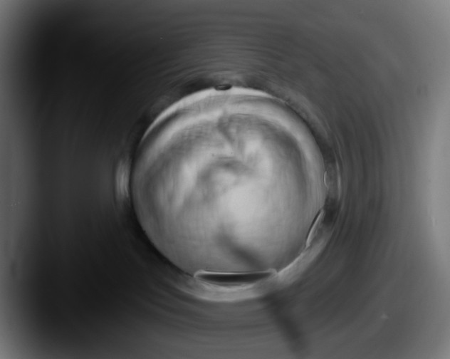 X0000087610047200705181303