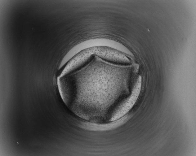 X0000087610048200705181303