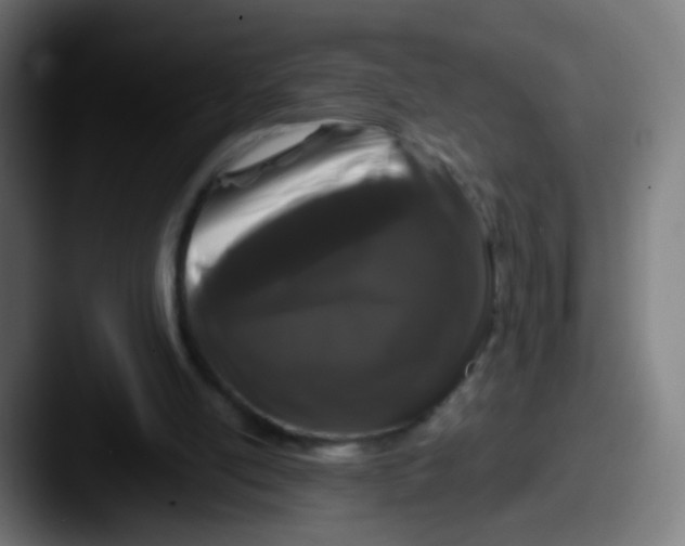 X0000087610054200705181302